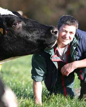 Bien être animaux