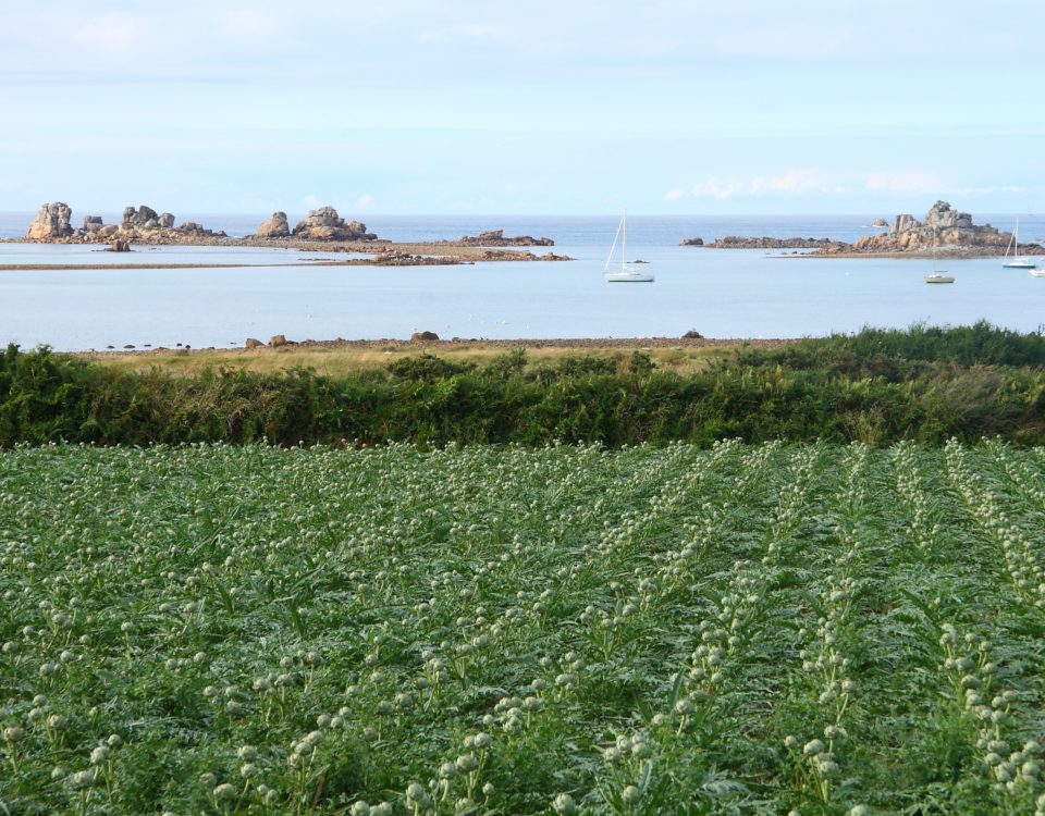 Découvrir l'agriculture bretonne